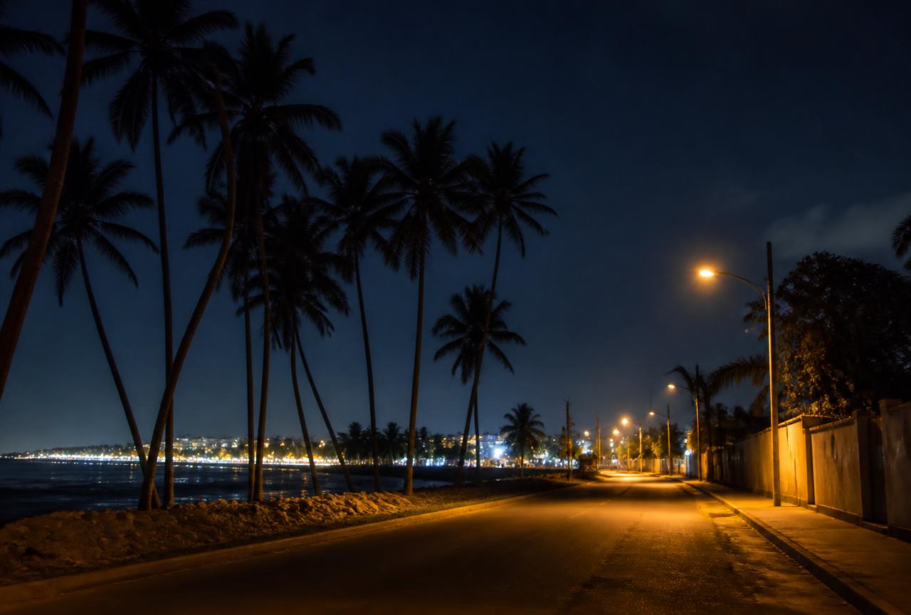 Palm silhouettes along the Accra coast road at night under warm street lighting